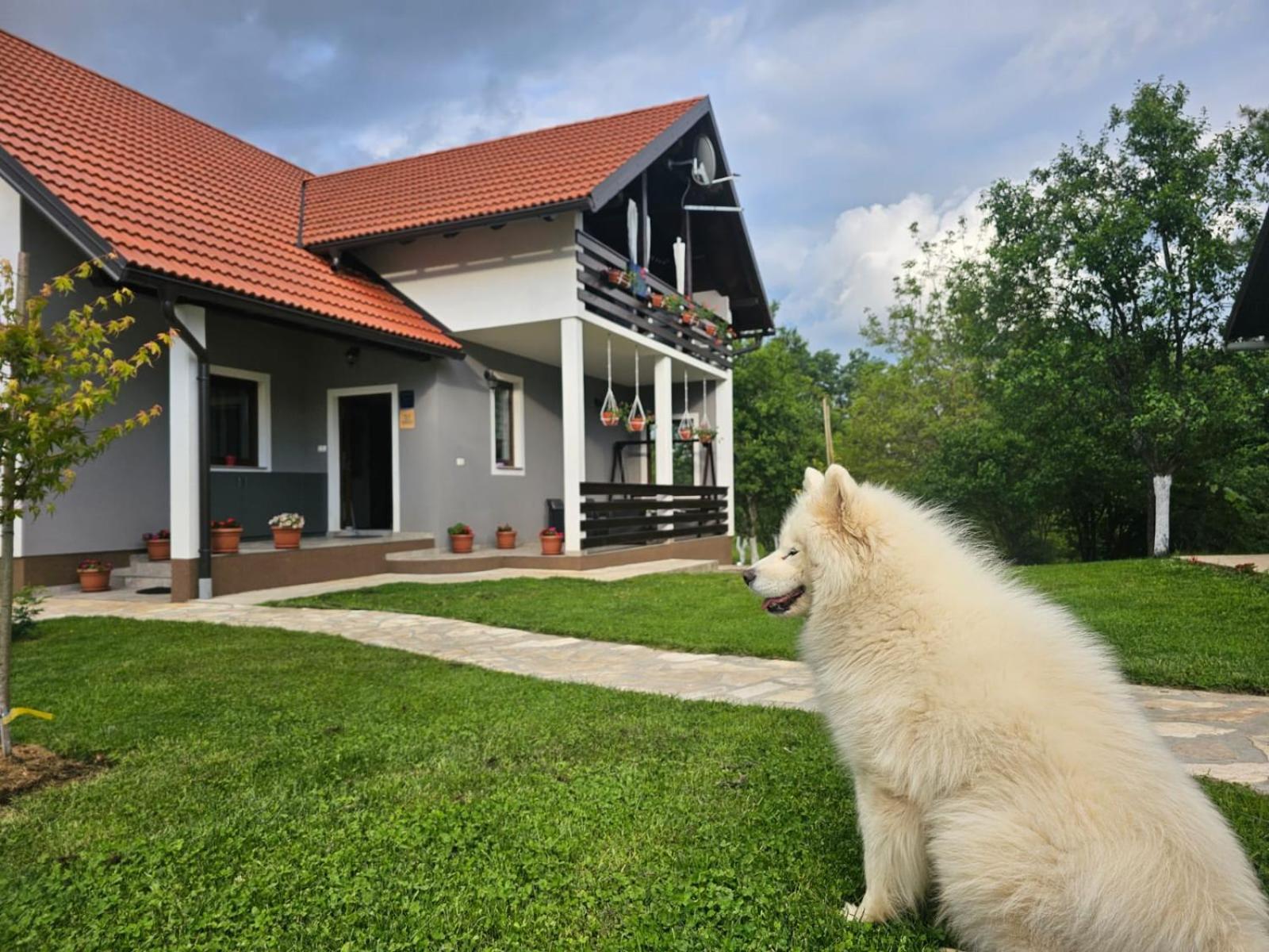 Deluxe Apartment With Jacuzzi - Patar Rakovica Exterior photo